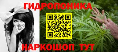 ECSTASY Аргун