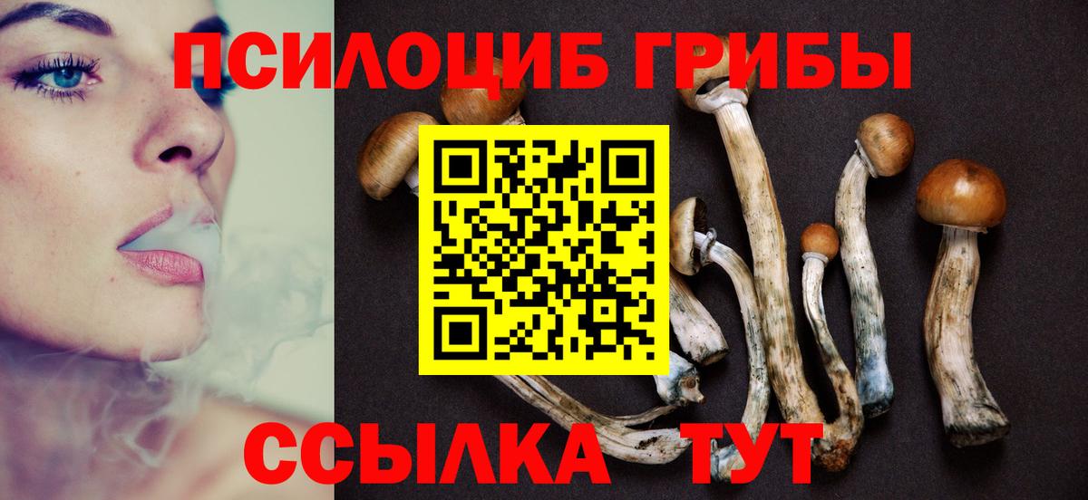 Белая Калитва  Псилоцибиновые грибы Psilocybe  Вход с VPN 