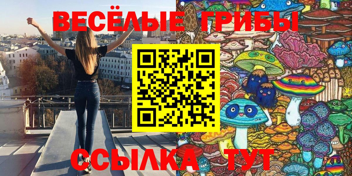 Псилоцибиновые грибы Psilocybe Белая Калитва